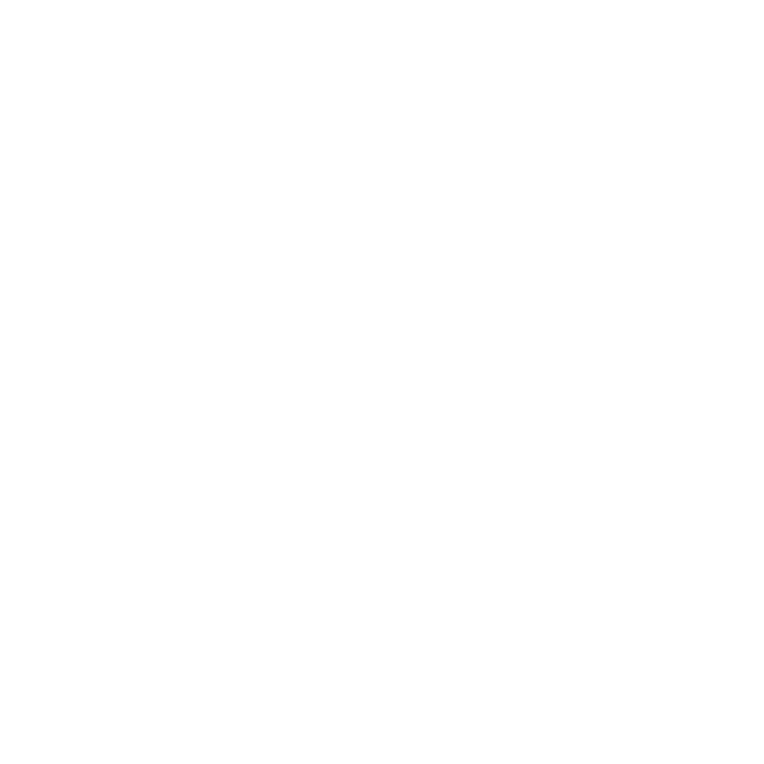 Partner 13