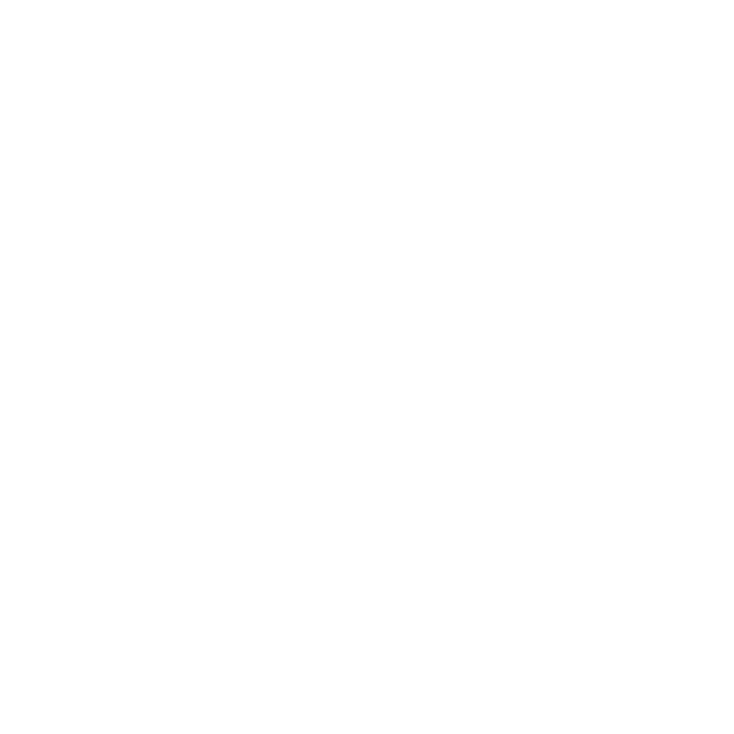 Partner 4